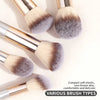 A collection of various makeup brushes and a powder puff with metallic handles shown on a white background.