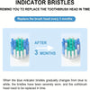 Diagram showing blue indicator bristles changing to white after 3 months, indicating the need for replacement.
