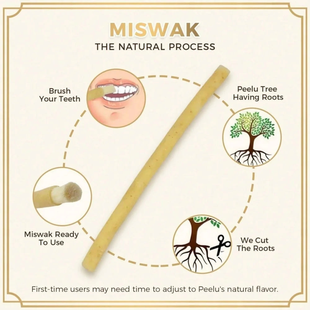 A wooden miswak stick is shown next to illustrations detailing the natural process of using it for teeth and having roots.