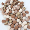 A collection of reusable expandable makeup sponges in various natural and earthy tones.