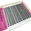 A tray of black lash extensions, numbered 1 through 16, is displayed in a white box with a pink label.