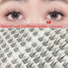 Close-up of a woman's eyes showing natural look sunflower lashes clusters