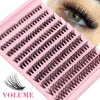 A pink lash tray with multiple rows of black volume eyelash extensions shown next to an eye.