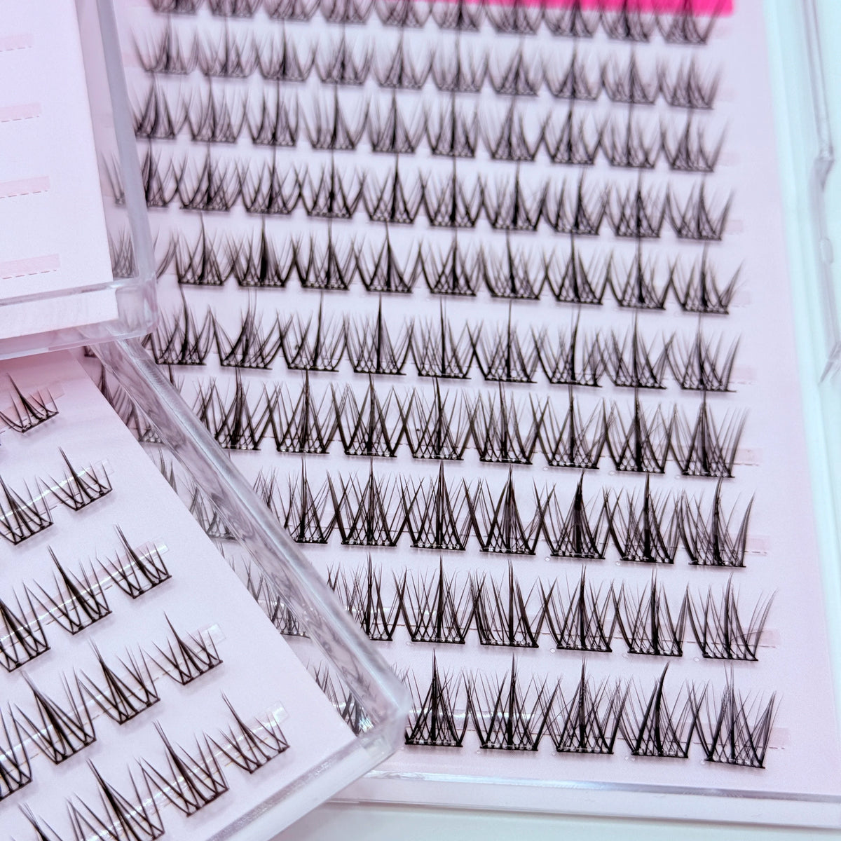 Close-up view of adhesive-free individual lash clusters arranged in rows on a pink display card.