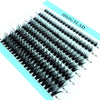 A fan of black mixed tray false eyelashes displayed on a light blue background.