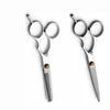 A pair of professional 6-inch barber scissors and thinning shears set with silver blades.