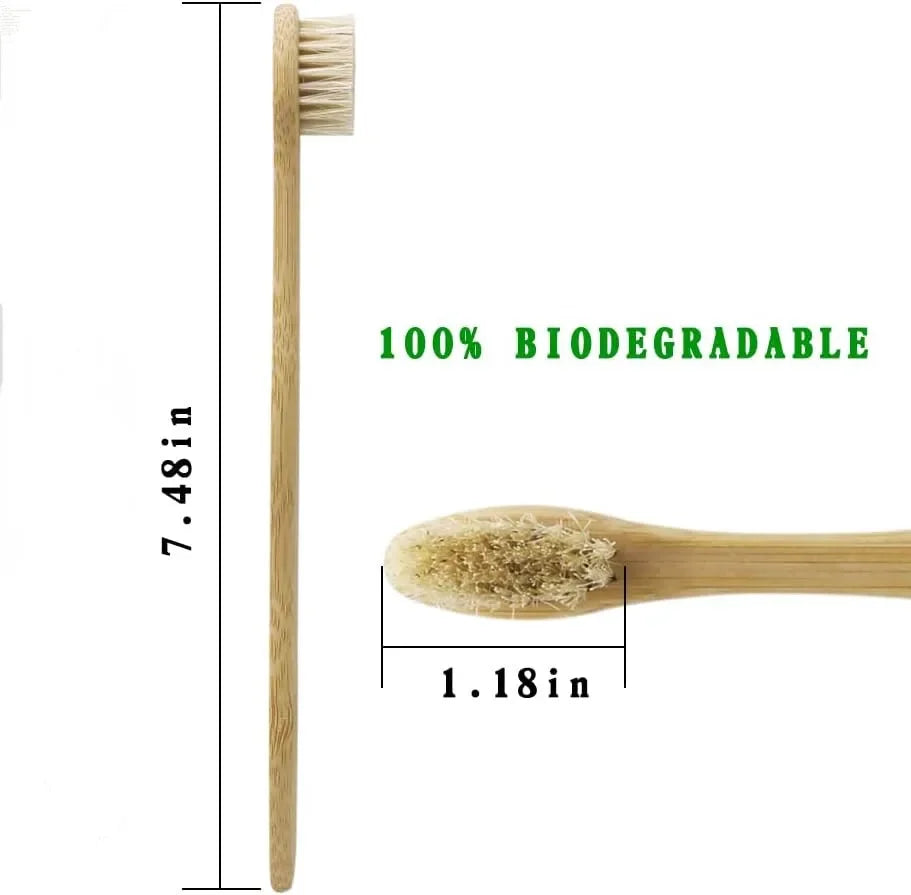 A wooden bamboo toothbrush with natural bristles shown next to a measurement scale.