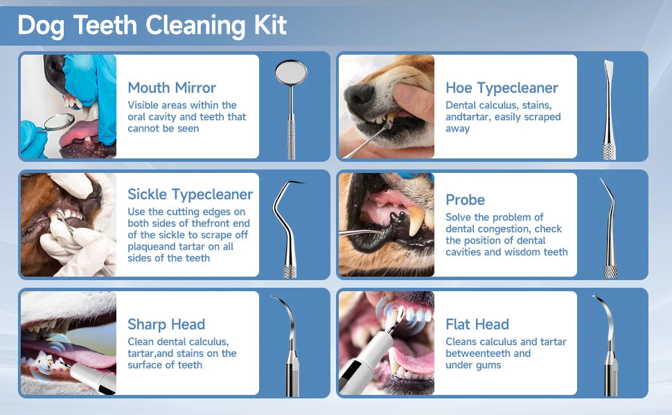 A kit of dog teeth cleaning tools including a mouth mirror, hoe, probe, sharp head, and flat head.