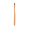 A single light brown bamboo toothbrush standing upright against a white background.