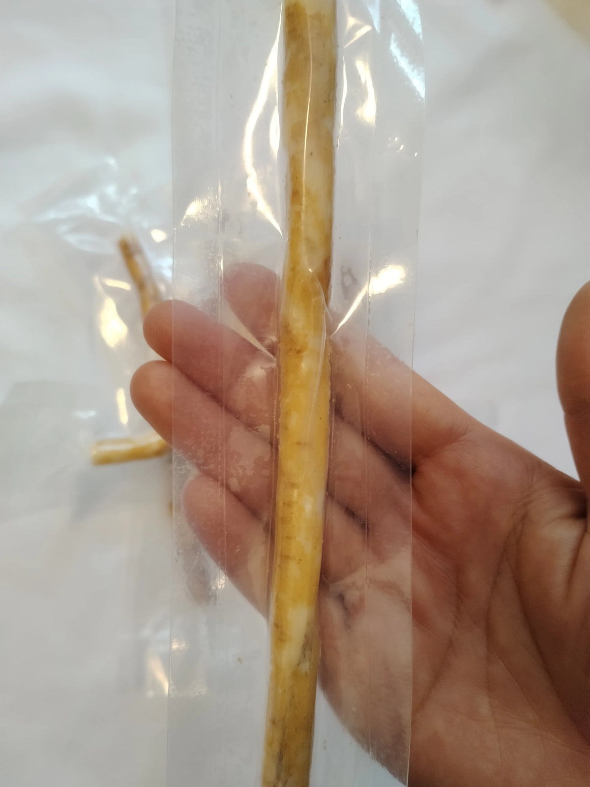 Natürliche Miswak-Zahnbürste in einer klaren Plastikverpackung, gehalten von einer Hand.
