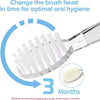 A toothbrush head is shown with an arrow indicating a replacement every 3 months for optimal oral hygiene.
