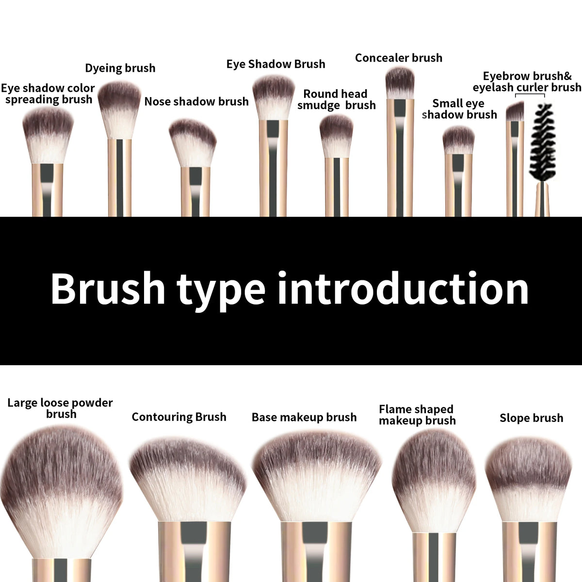 A collection of 13 professional makeup brushes including dyeing, eyeshadow, concealer, and various shaping brushes.