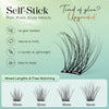 A display of self-stick natural cluster eyelashes in various lengths, including 10mm, 12mm, 14mm, and 16mm.