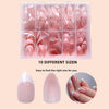 A clear plastic box containing 10 different sizes of pink glossy press-on almond shaped nails.