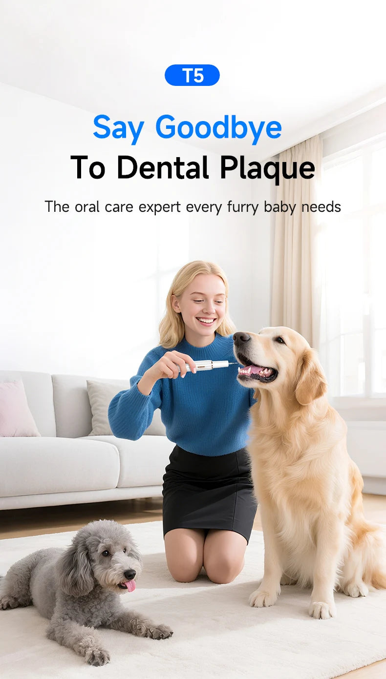 A young girl is using an ultrasonic dental cleaner on a dog while a small poodle sits nearby.