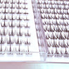 Close-up view of adhesive-free natural look eyelash clusters arranged in rows on a clear surface.