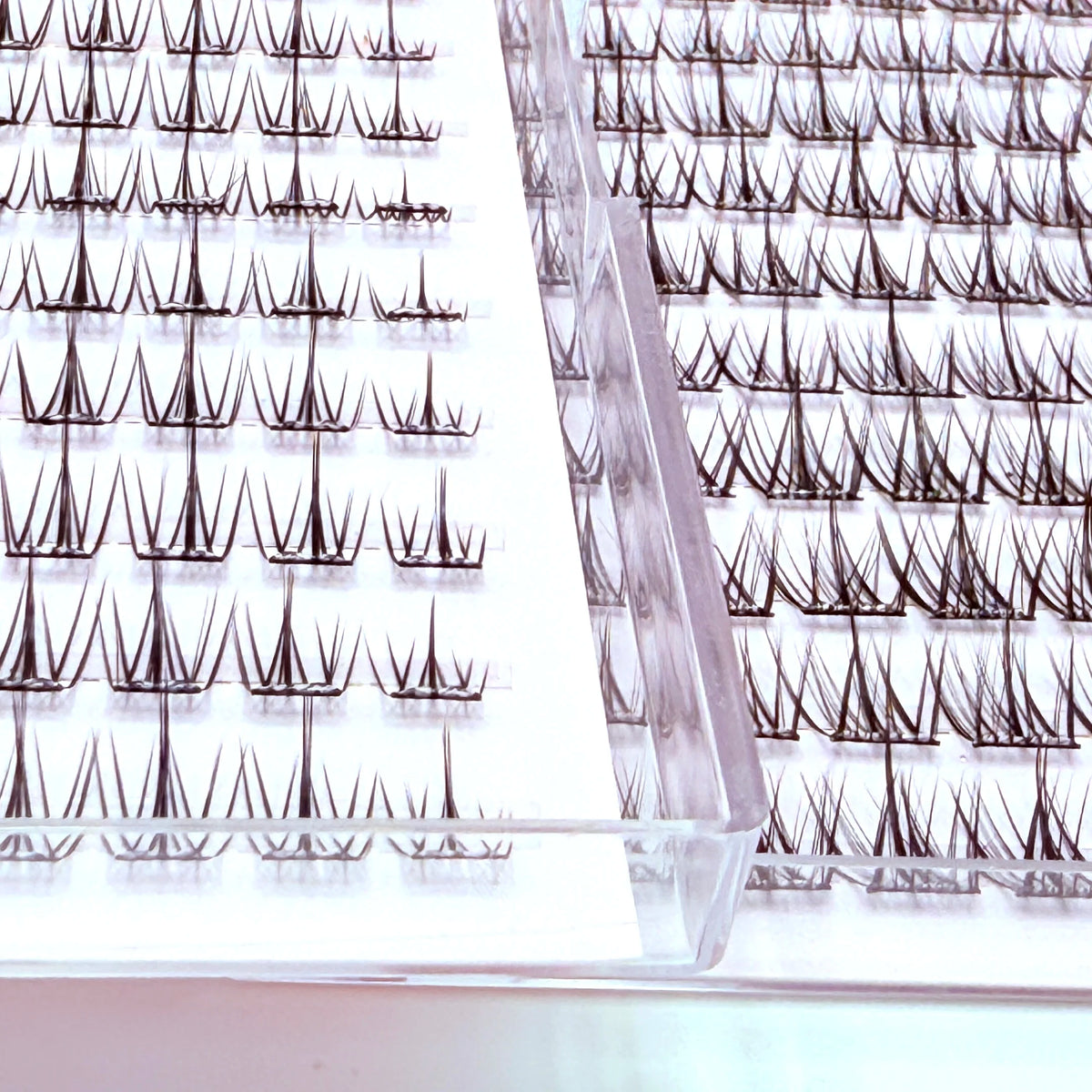 Close-up view of adhesive-free natural look eyelash clusters arranged in rows on a clear surface.