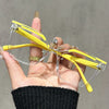 Una mano sostiene unas gafas de lectura cuadradas amarillas anti-luz azul con monturas transparentes y detalles dorados.