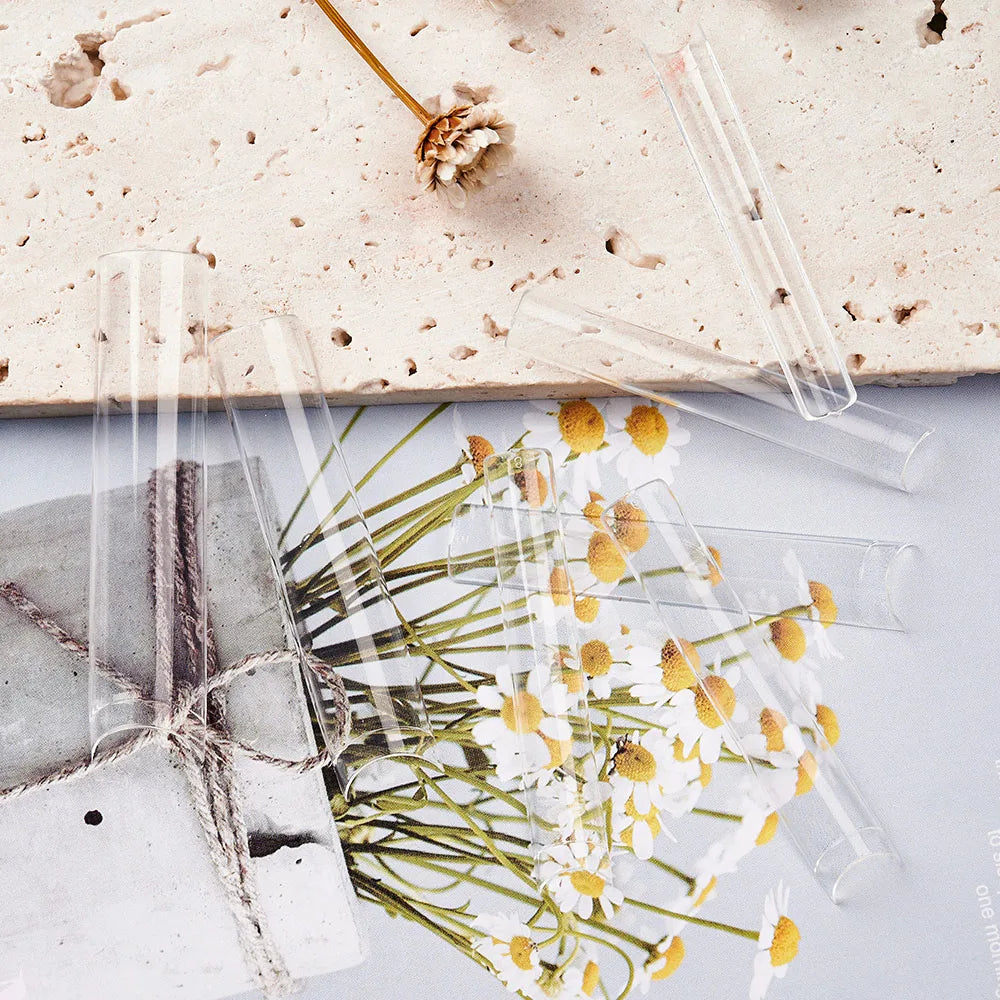 A collection of white and yellow dried flowers arranged on a light surface next to clear acrylic press-on nails.