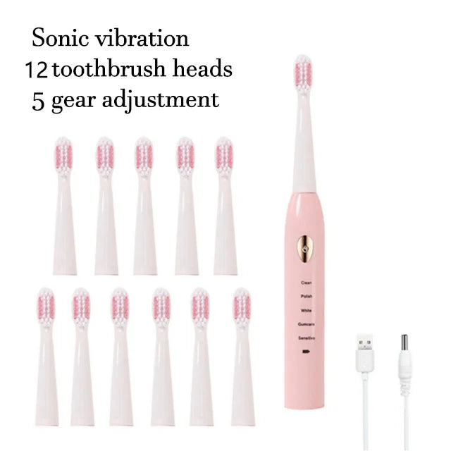 A pink electric toothbrush with 12 brush heads and a gear adjustment feature is shown alongside the individual heads.