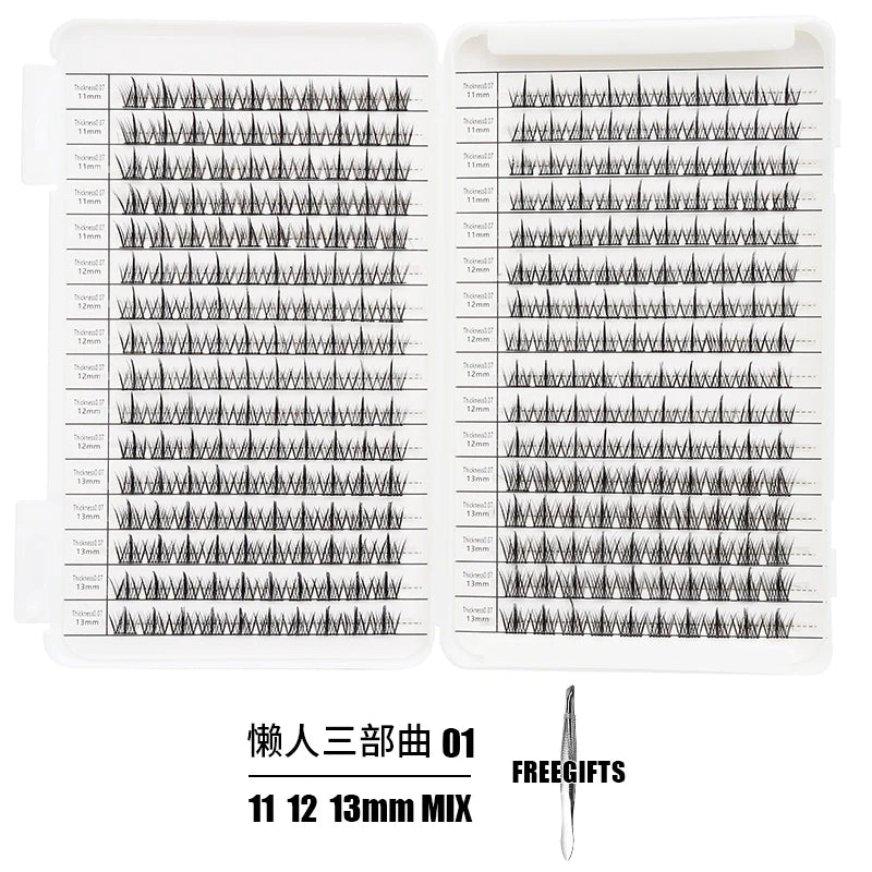 Kit en plastique transparent contenant des extensions de cils individuelles de différentes longueurs et styles.