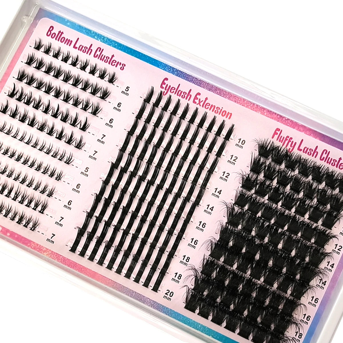Un récipient en plastique transparent montrant diverses tailles de clusters de cils noirs pointus pour extensions de cils.