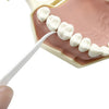 A portable teeth flosser cleaning stick set with white teeth and pink cleaning paste is shown.