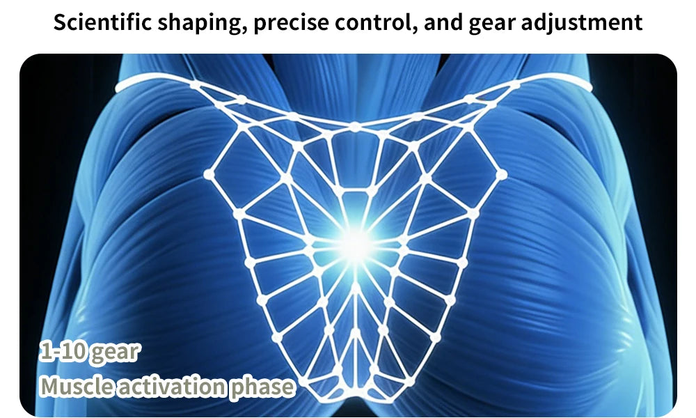A diagram showing a mesh pattern overlaid on a muscular area, illustrating scientific shaping and gear adjustment for muscle 