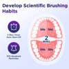 Infographic showing a dental brushing routine with timers and reminders for developing scientific brushing habits.