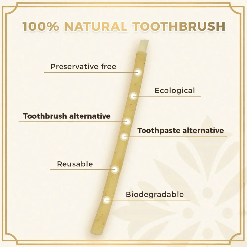 A wooden natural toothbrush alternative with various eco-friendly features listed.