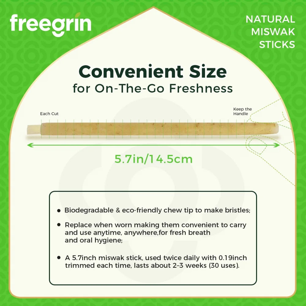 A wooden miswak stick shown next to a ruler, illustrating its convenient size for on-the-go freshness.