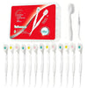 Un set de brosses à dents jetables blanc avec manche et rasp de langue, montré dans un récipient transparent.