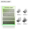 A sheet of Young Lash DIY cluster eyelash extensions showing various lash styles and lengths.