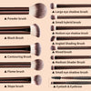 A collection of thirteen professional makeup brushes including powder, blush, contouring, shading, and eye makeup brushes.