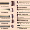 A collection of 13 professional makeup brushes including powder, blush, contouring, shading, and eye shadow brushes.