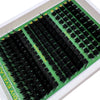 A tray of thick spiky cluster eyelash extensions in black and green packaging.