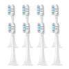 A set of replacement toothbrush heads for various models, shown individually.