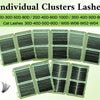 A collection of individual lash clusters lashes in various lengths and styles displayed on a green background.