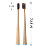 Un set de brosses à dents biodégradables en poil de cheval et bambou, montrés verticalement avec des mesures.