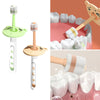 A set of soft baby toothbrushes for toddlers, including a green and a natural wood-colored brush, shown alongside teeth model