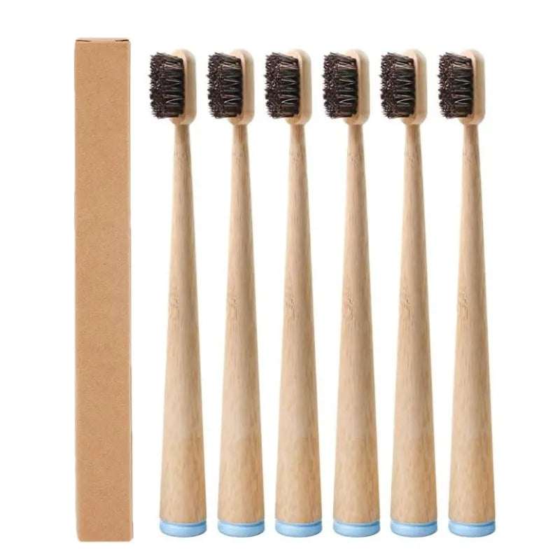 Un pack de six brosses à dents en poils de cheval biodégradables et bambou, debout dans un tube en carton.