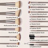 A collection of various makeup brushes including powder, shading, blending, eyeliner, and eyebrow brushes.