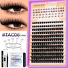 A box of Groinneya professional eyelash extension kits showing various lash styles and lengths.