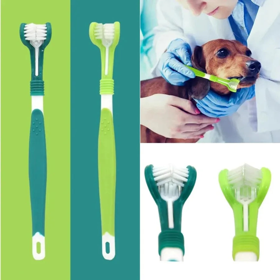 A person is using a green 3-sided pet toothbrush for dogs and cats on a dog.
