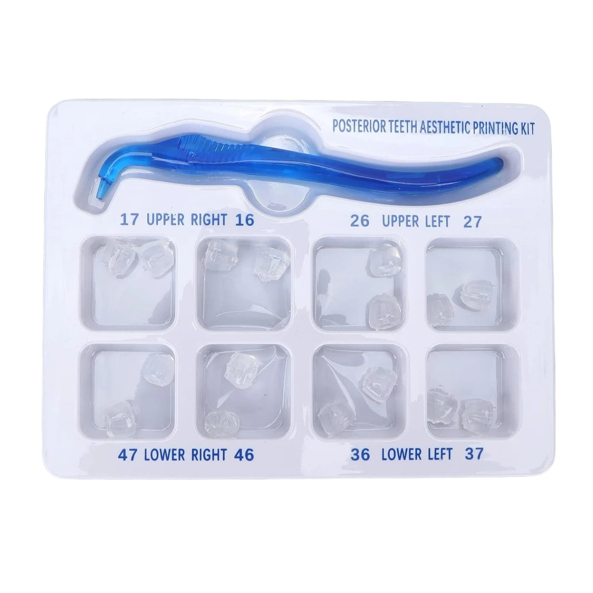 Klares Plastik-Set mit Zahnabdruckmaterial und blauem Silikon-Druckwerkzeug für ästhetisches Drucken.