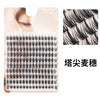 Kit pour extensions de cils individuels DIY, montrant une grille de faux cils noirs et un gros plan de cils naturels.