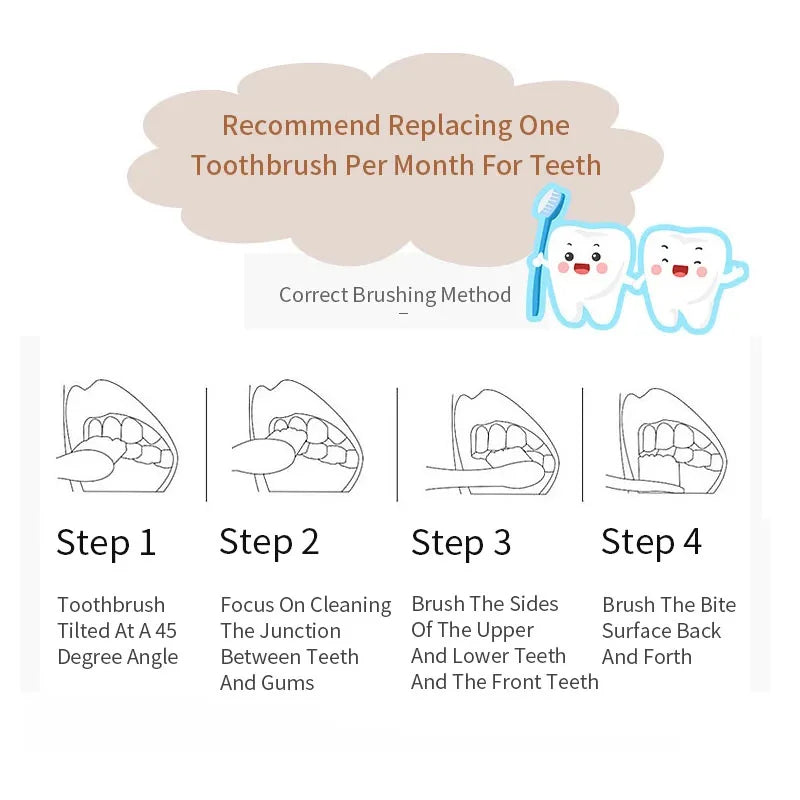 A four-step guide illustrating the correct brushing method for teeth.