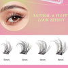 Demonstration of natural and fluffy look effect with various lengths of eyelash extensions from 10mm to 16mm