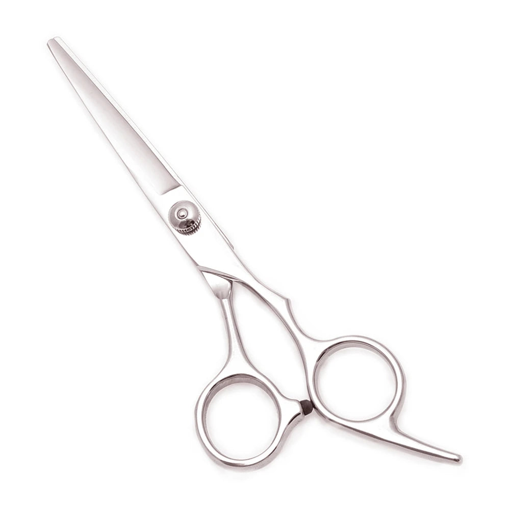 A pair of professional stainless steel hairdressing scissors shown from the side.