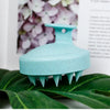 A light blue wet and dry scalp massage brush resting on a green leaf.